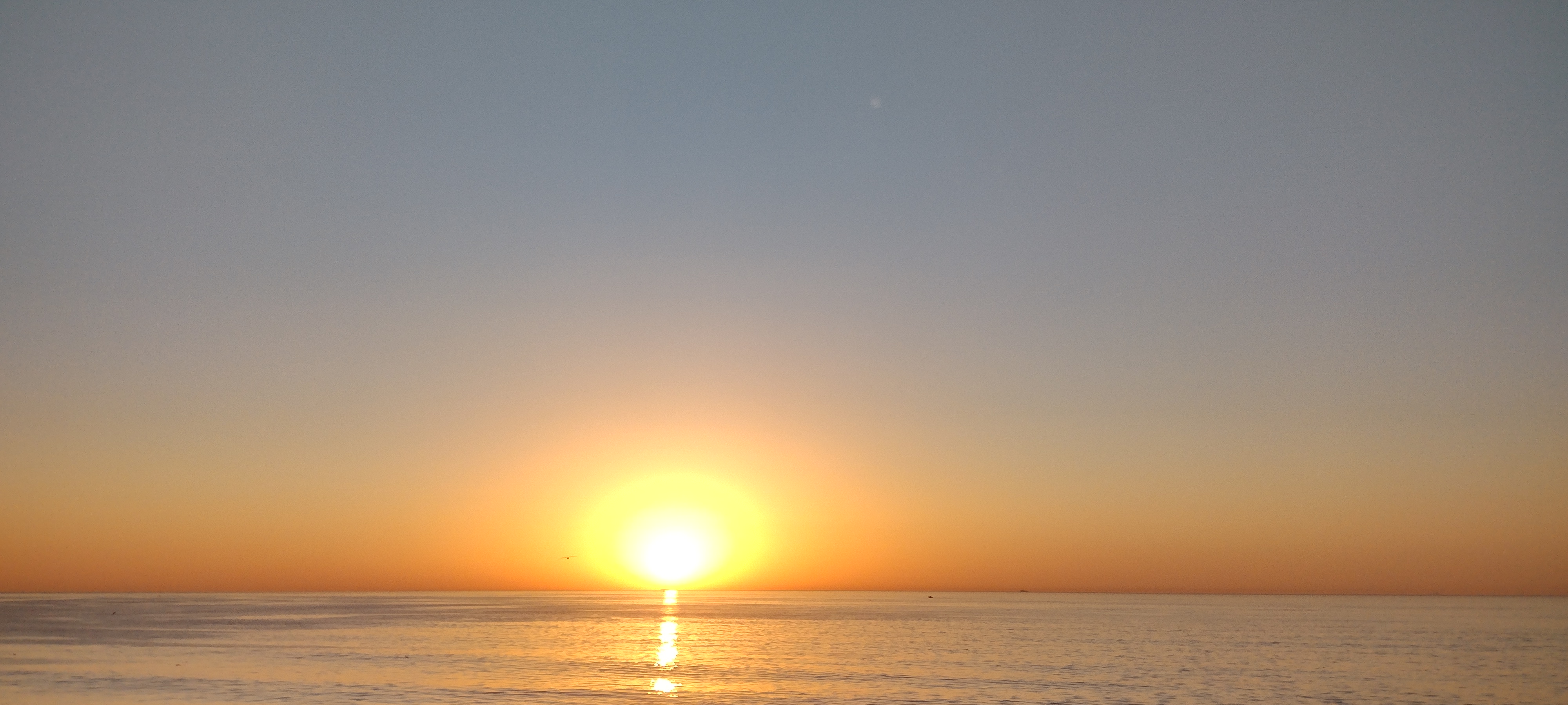 Memory image
